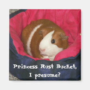 Aimant Princesse Rust Bucket, je présume ?