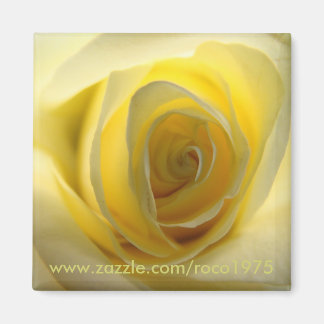 Aimant Principalement centré