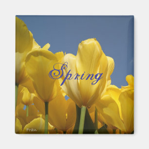 Aimant printemps