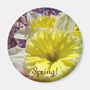 Aimant Printemps ! cadeaux aimantés Fleurs de jonquilles