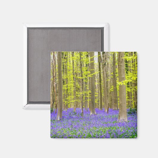 Aimant Printemps dans la forêt bleue (Recto/Verso)