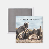 Aimant Printemps - Renard arctique (Recto/Verso)