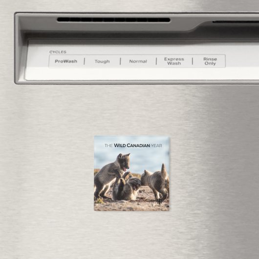 Aimant Printemps - Renard arctique (In Situ (Lave-vaisselle))