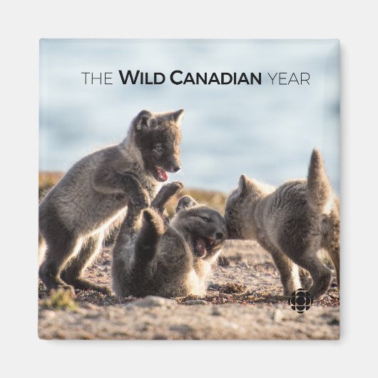 Aimant Printemps - Renard arctique (Devant)