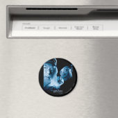 Aimant Prisonnier d'Azkaban - espagnol 1 (In Situ (Lave-vaisselle))