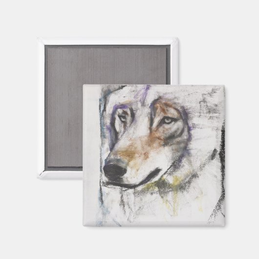 Aimant Processo Al Lupo (Recto/Verso)