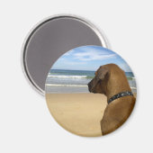 Aimant Produits Rhodesian Ridgeback (Recto/Verso)