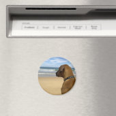 Aimant Produits Rhodesian Ridgeback (In Situ (Lave-vaisselle))