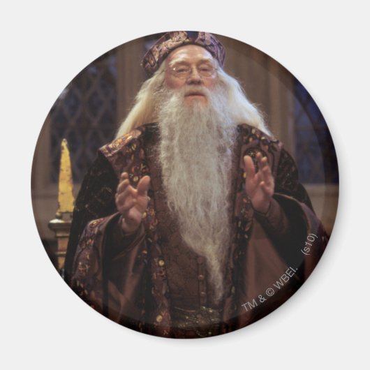 Aimant Professeur Dumbledore (Devant)
