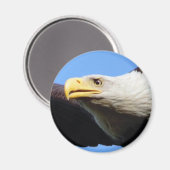 Aimant Profil d'aigle à tête blanche (Recto/Verso)