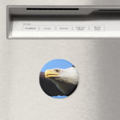 Aimant Profil d'aigle à tête blanche (In Situ (Lave-vaisselle))
