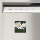 Aimant Profil de marguerite (In Situ (Lave-vaisselle))