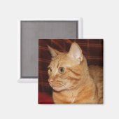 Aimant Profil de visage de chat Tabou orange (Recto/Verso)