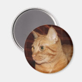 Aimant Profil de visage de chat Tabou orange (Recto/Verso)