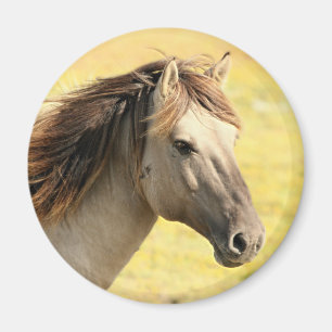 Aimant Profil du cheval beige