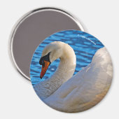 Aimant Profil d'un cygne muet (Recto/Verso)