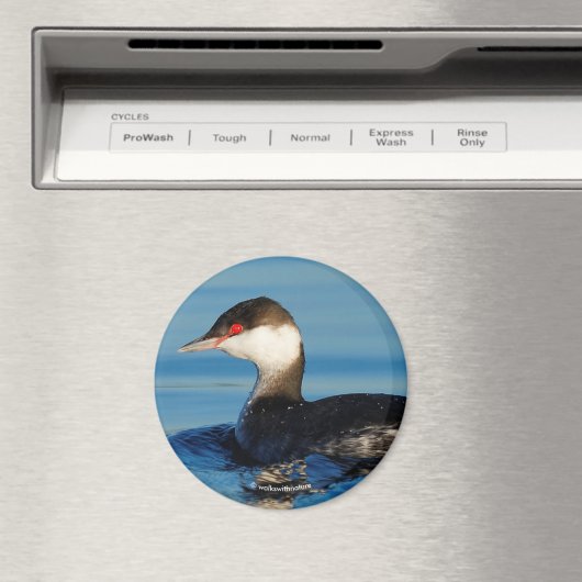 Aimant Profil d'une Grebe à cornes (In Situ (Lave-vaisselle))