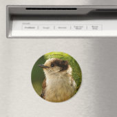 Aimant Profil d'une Jay gris mou / Whiskeyjack (In Situ (Lave-vaisselle))