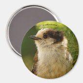 Aimant Profil d'une Jay gris mou / Whiskeyjack (Recto/Verso)