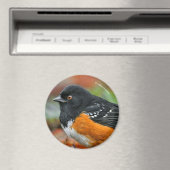 Aimant Profil d'une pointe tachetée (In Situ (Lave-vaisselle))