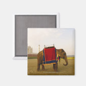 Aimant Profil latéral d'un éléphant, Taj Mahal, Inde (Recto/Verso)
