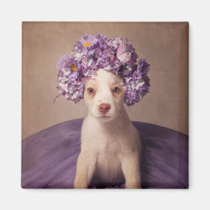 Aimant Projet d'animaux familiers d'abri - Fiona