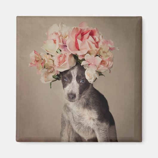 Aimant Projet pour animaux domestiques - Opal (Devant)