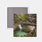 Aimant Promenade en bois à travers le canyon de la Gorge  (Recto/Verso)