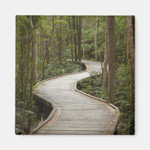 Aimant Promenade jusqu'aux chutes Nelson, Franklin - Gord