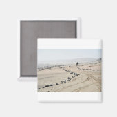 Aimant Promenade Le Long De La Côte Du Squelette (Recto/Verso)