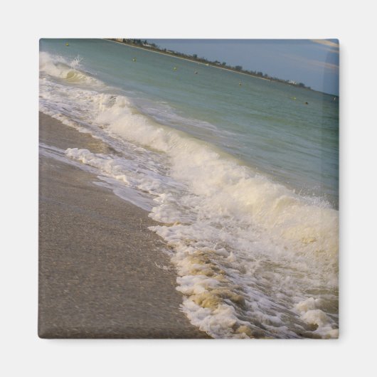 Aimant Promenade Le Long De La Plage St Pete (Devant)