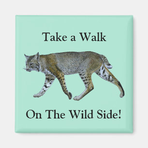 Aimant Promenez-Vous Sur Le Côté Sauvage Bobcat