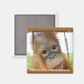 Aimant Promotion de printemps des animaux orphelins (Recto/Verso)