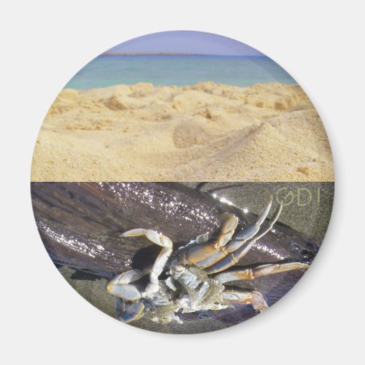 Aimant Propre ou sale ? GDI ! (Devant)