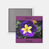 Aimant propre, sale (Recto/Verso)