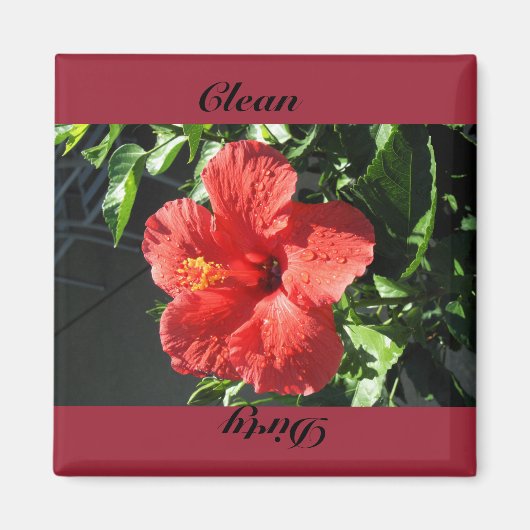 Aimant propre, sale (Devant)