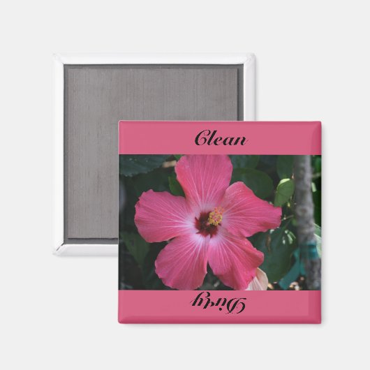 Aimant propre, sale (Recto/Verso)