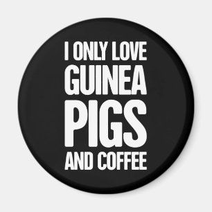 Aimant Propriétaire du porc de Guinée