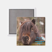 Aimant Propriété d'un Shetland (Recto/Verso)