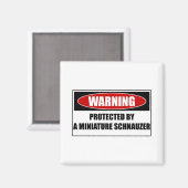 Aimant Protégé Par Un Schnauzer Miniature (Recto/Verso)