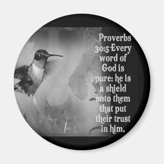 Aimant Proverbes 30:5 BIBLE SCRIPTURE avec colibri (Devant)