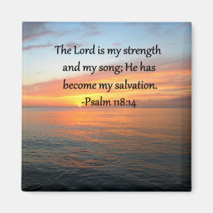 AIMANT PSALM SPIRITUEL 118:14 DESIGN PHOTO SLEVER
