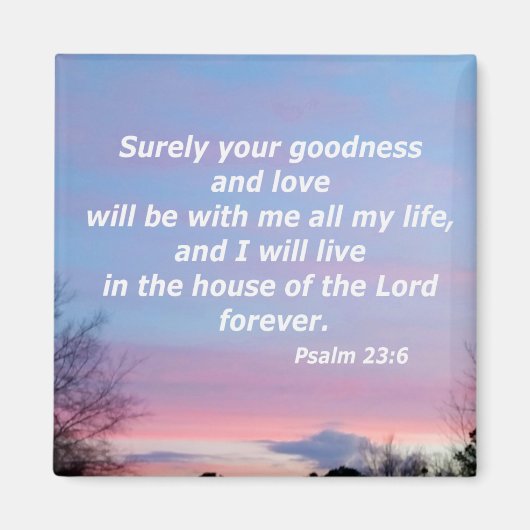 Aimant Psaume 23:6 (Devant)