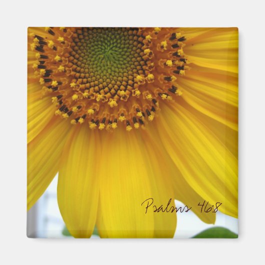 Aimant Psaumes 46:8 (Devant)