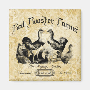 Aimant Publicité vintage sur la ferme de volaille