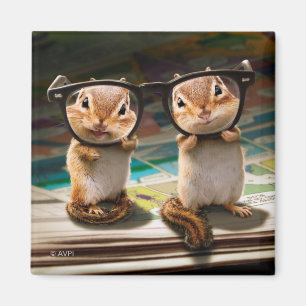 Aimant Puces dans les lunettes de lecture