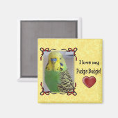 Aimant Pudgie Budgie 3 (Recto/Verso)