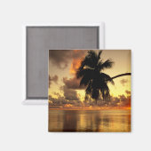 Aimant Puerto Vallarta (Recto/Verso)