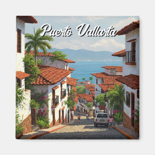 Aimant Puerto Vallarta Jalisco Mexique Voyage