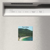 Aimant Puerto Vallarta, Mexique (In Situ (Lave-vaisselle))
